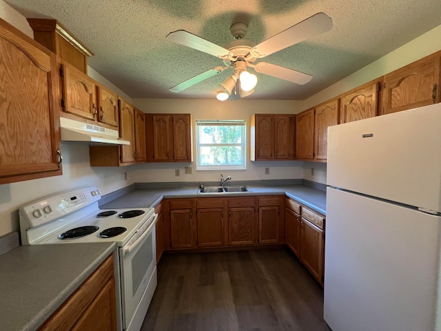 kitchen with white appliances, sink, dark hardwood / wood-style flooring, and a textured ceiling