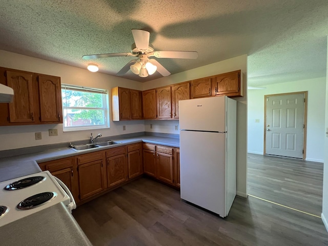 kitchen with ceiling fan, white appliances, sink, dark hardwood / wood-style flooring, and a textured ceiling