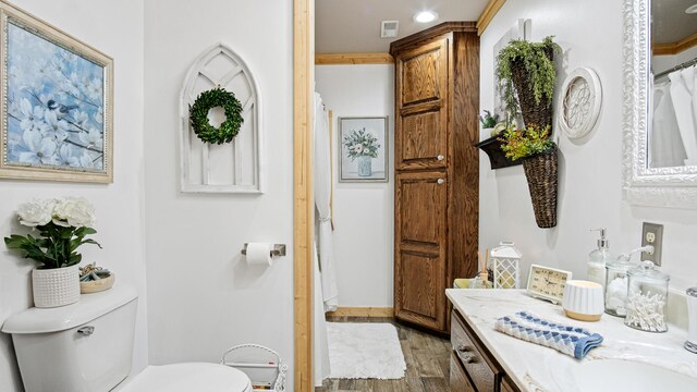 bathroom featuring vanity, toilet, and wood-type flooring