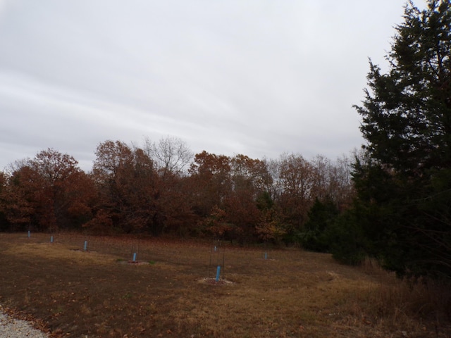 170 Ee Hwy, Thayer, MO 65791