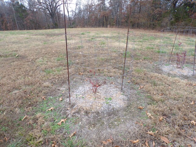 170 Ee Hwy, Thayer, MO 65791