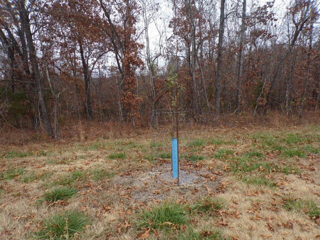 170 Ee Hwy, Thayer, MO 65791