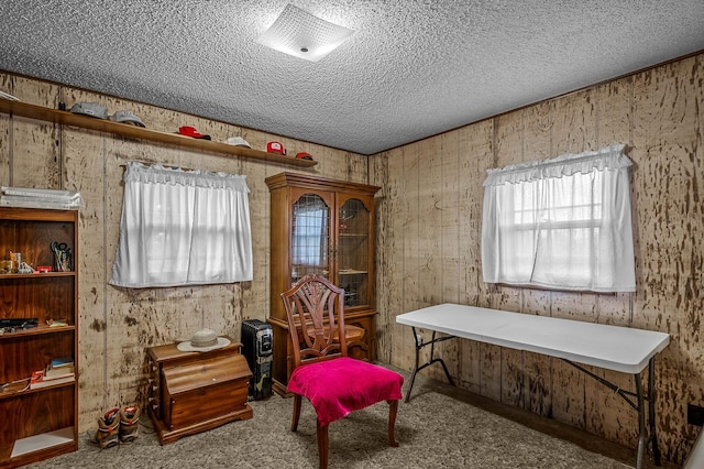 living area with a healthy amount of sunlight, carpet, and a textured ceiling