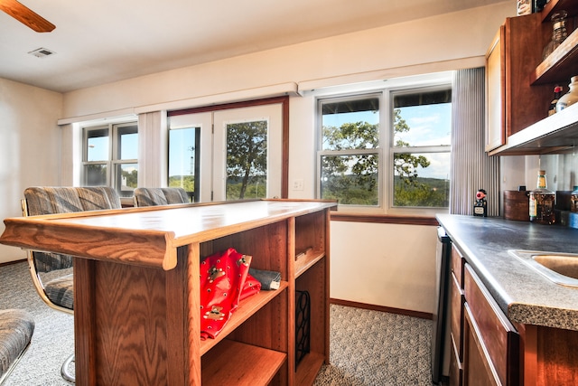 kitchen featuring dark carpet and plenty of natural light