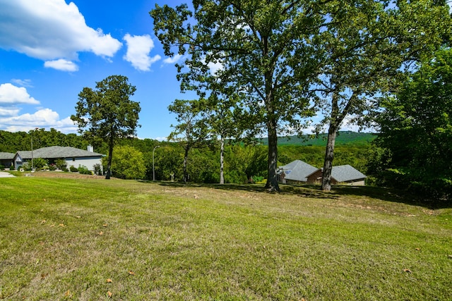 15 Bay Front Ln Apt A, Kimberling City, MO 65686 - view of green lawn