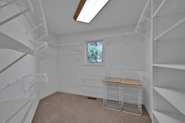 walk in closet with carpet floors