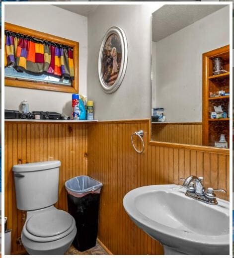 bathroom with wooden walls, toilet, wainscoting, and a sink