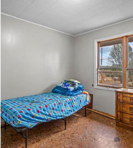 bedroom with crown molding