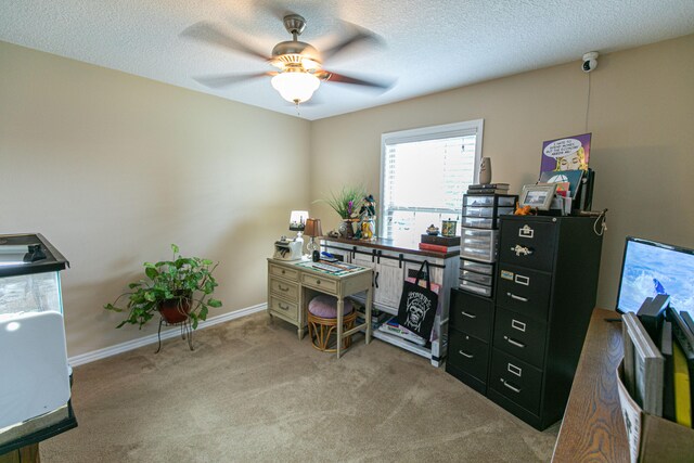 carpeted office featuring ceiling fan and a textured ceiling