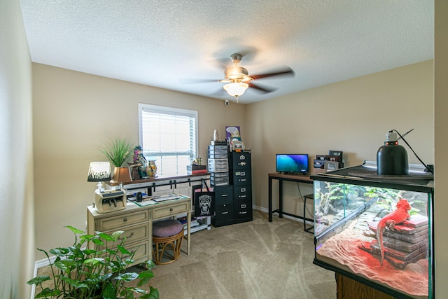 carpeted office with ceiling fan and a textured ceiling