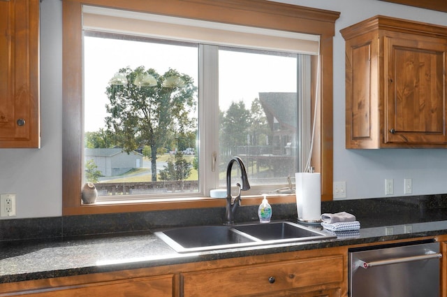 kitchen featuring plenty of natural light, stainless steel dishwasher, and sink