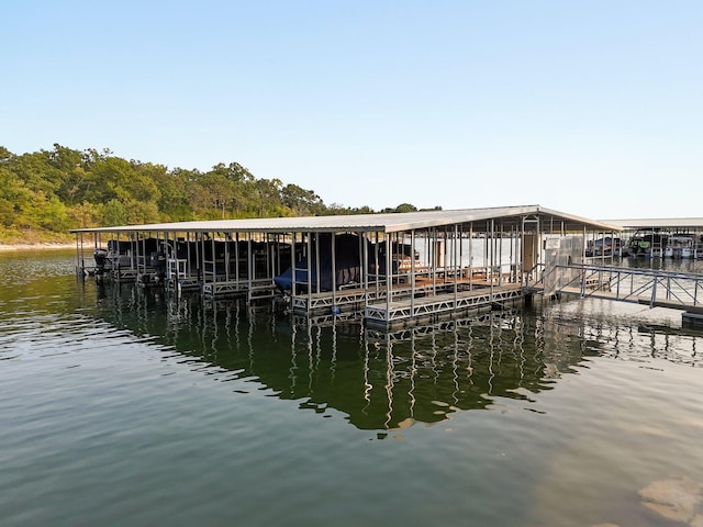 dock area with a water view