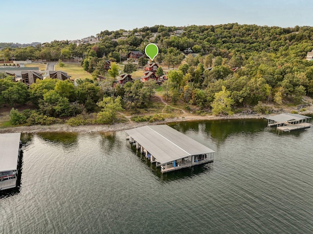 41 Western Red Cedar St, Branson, MO 65616 - view of dock with a water view