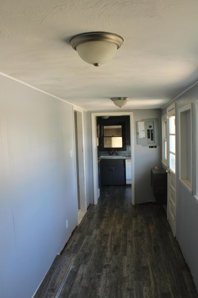 hallway with electric panel and dark hardwood / wood-style flooring