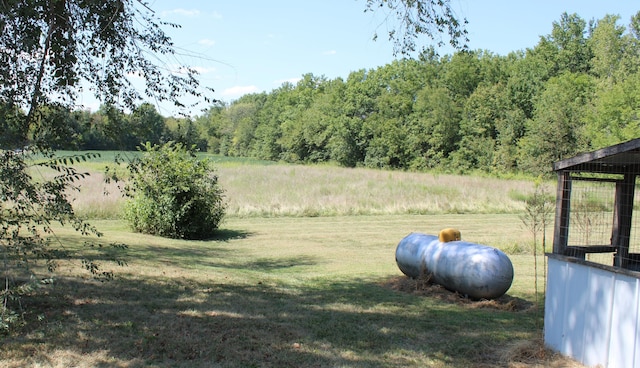 view of yard featuring a rural view