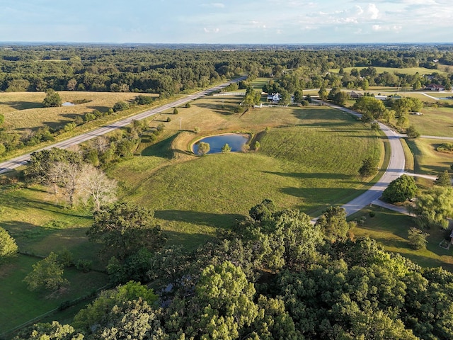 1568 Glossip Ave, Highlandville, MO 65669 - aerial overview of property's location with a nearby body of water