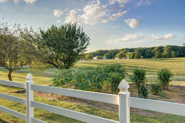 view of yard with a rural view