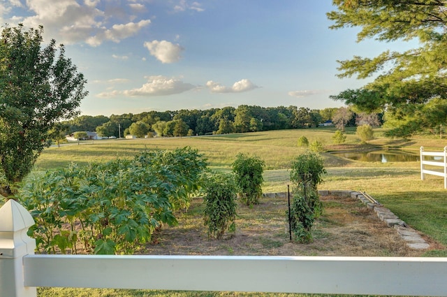 1568 Glossip Ave, Highlandville, MO 65669 - view of green lawn featuring a water view
