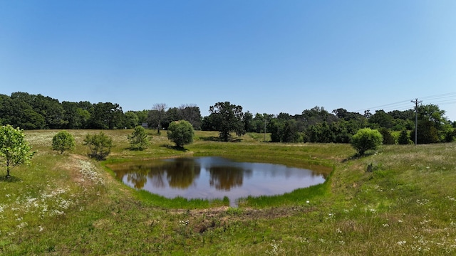 1568 Glossip Ave, Highlandville, MO 65669 - water view