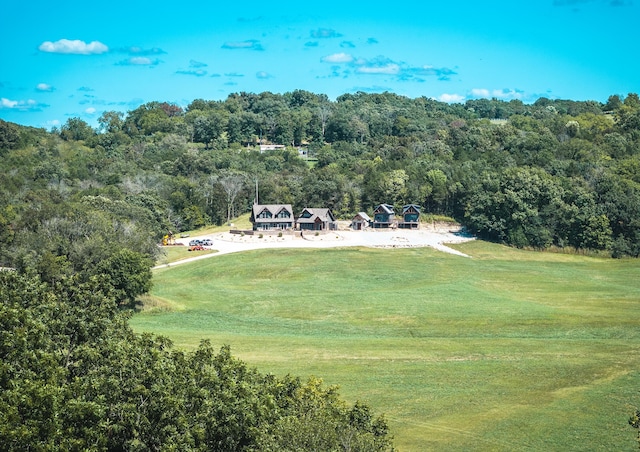 1326 Bald Eagle Dr, Galena, MO 65656 - drone / aerial view featuring a view of trees