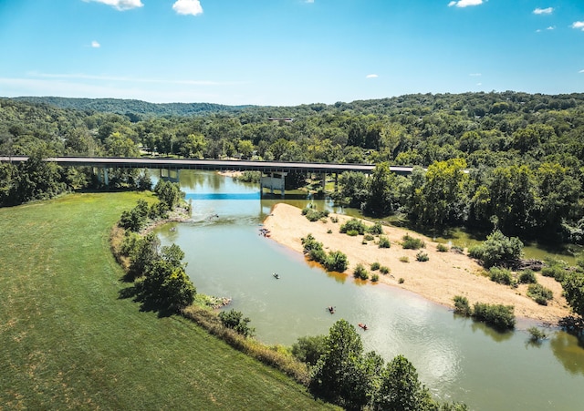1326 Bald Eagle Dr, Galena, MO 65656 - aerial view featuring a wooded view and a water view