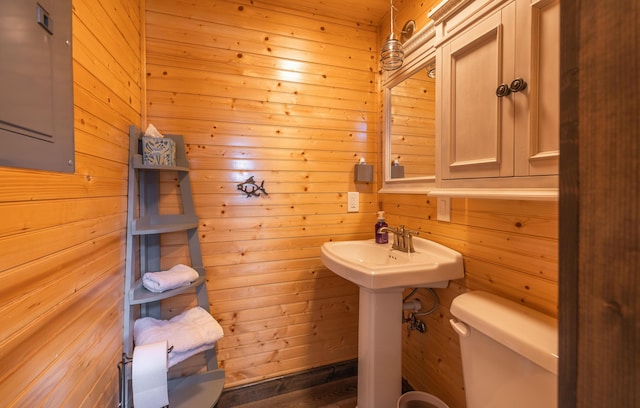 1326 Bald Eagle Dr, Galena, MO 65656 - bathroom with toilet, a sink, and wooden walls