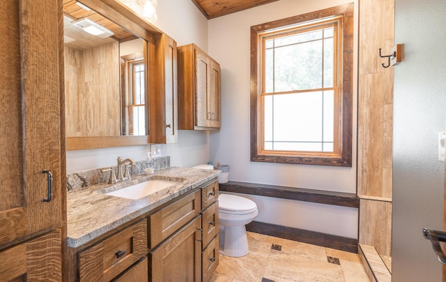 1326 Bald Eagle Dr, Galena, MO 65656 - full bath with wood ceiling, toilet, vanity, and a shower with shower door
