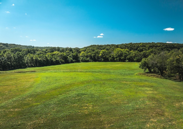 1326 Bald Eagle Dr, Galena, MO 65656 - view of yard with a wooded view