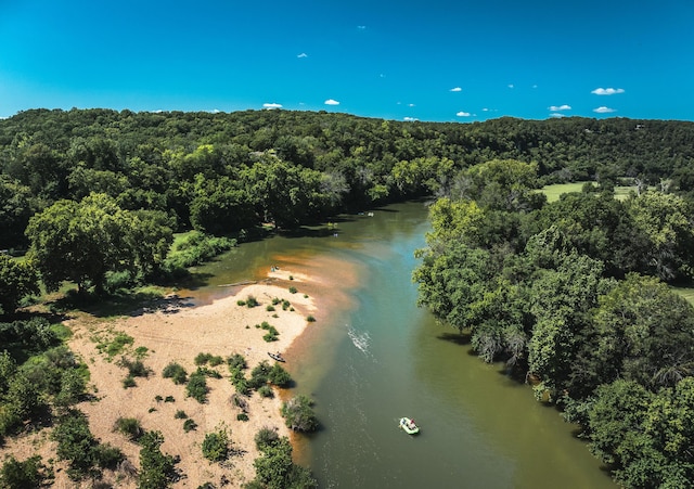 1326 Bald Eagle Dr, Galena, MO 65656 - drone / aerial view with a view of trees and a water view
