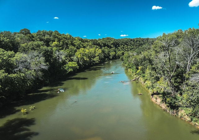 1326 Bald Eagle Dr, Galena, MO 65656 - property view of water with a forest view
