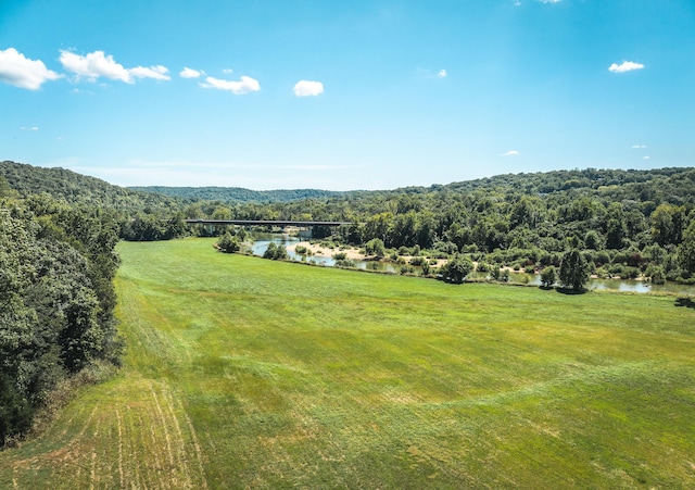 1326 Bald Eagle Dr, Galena, MO 65656 - aerial view with a forest view and a water view