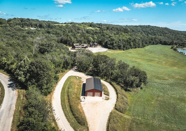 1326 Bald Eagle Dr, Galena, MO 65656 - drone / aerial view featuring a wooded view