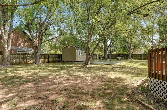 view of yard featuring a storage shed