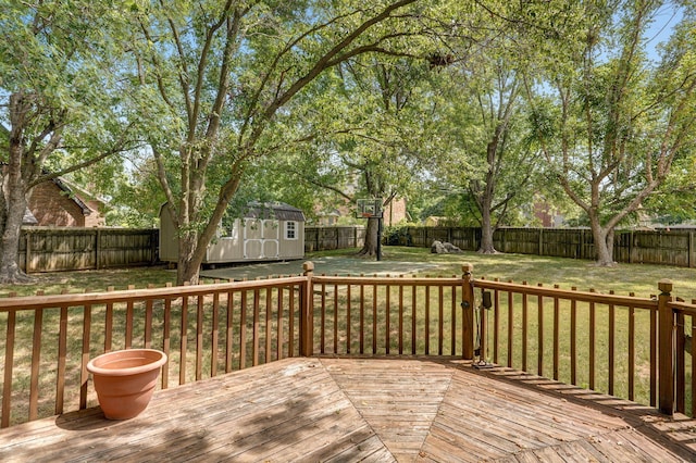 wooden deck featuring a lawn and a shed