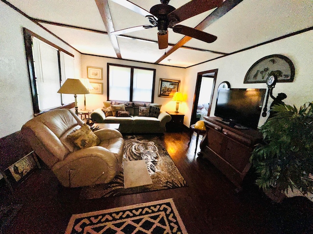 living room featuring hardwood / wood-style flooring and ceiling fan