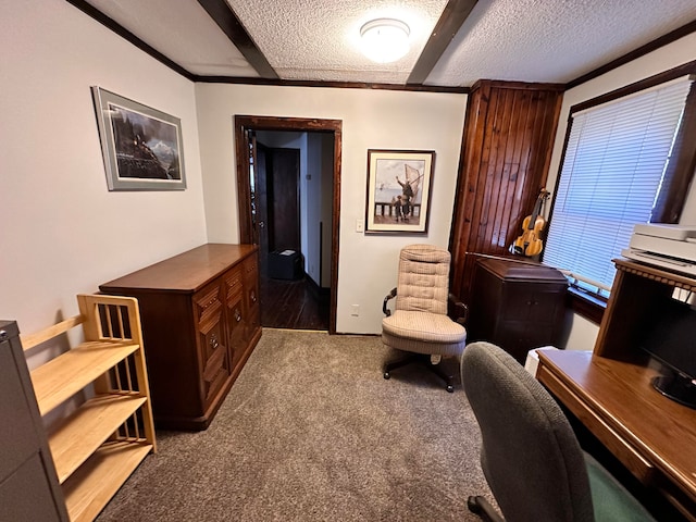 carpeted office space with a textured ceiling