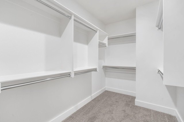 spacious closet with light colored carpet