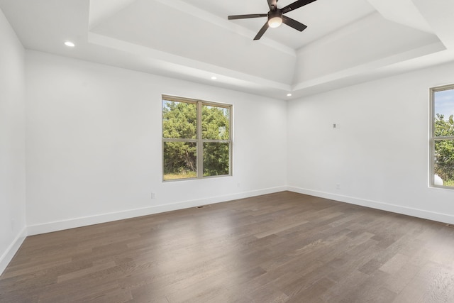 unfurnished room with a raised ceiling, plenty of natural light, and dark wood-type flooring