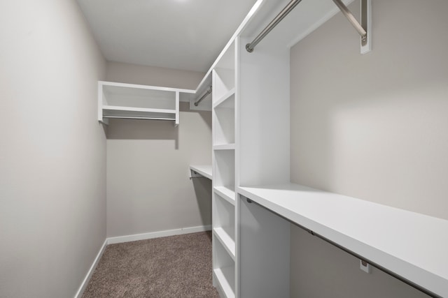 spacious closet with dark colored carpet