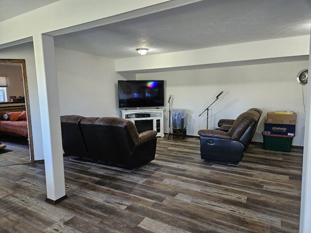 living room with dark hardwood / wood-style flooring