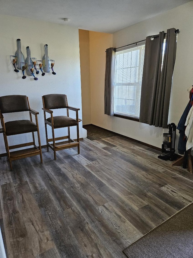 living area featuring dark wood-type flooring