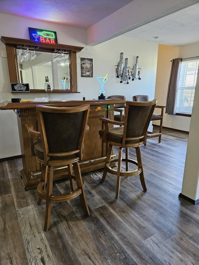 bar featuring dark hardwood / wood-style flooring