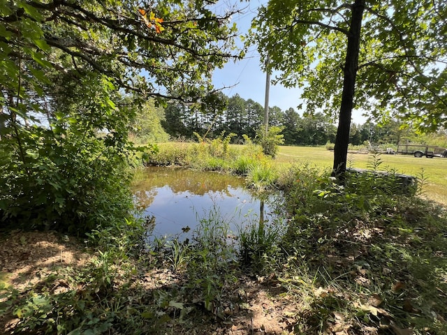 view of water feature