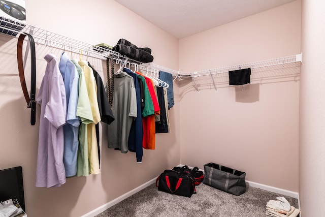 spacious closet with carpet flooring