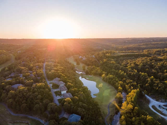 880 Black Forest Ln, Branson West, MO 65737 - aerial view at dusk of a water view