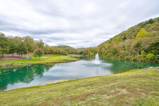 880 Black Forest Ln, Branson West, MO 65737 - water view with a heavily wooded area