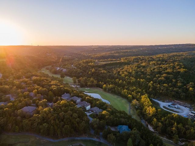 880 Black Forest Ln, Branson West, MO 65737 - aerial view of a large body of water and a heavily wooded area