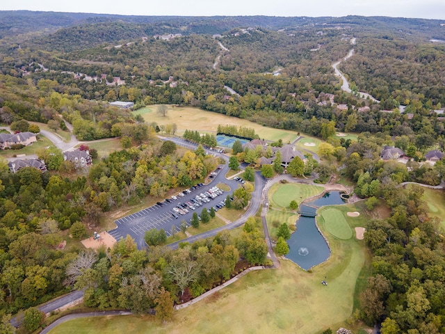 880 Black Forest Ln, Branson West, MO 65737 - aerial view of property's location with a large body of water and a forest