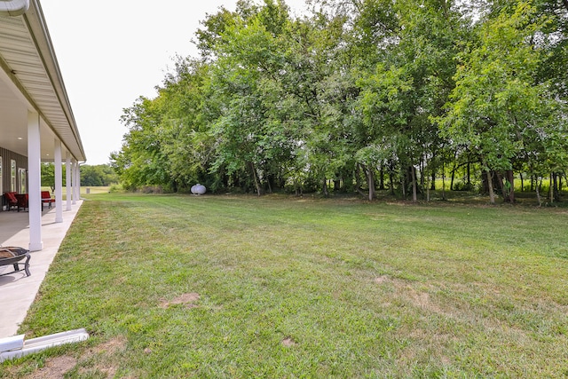 view of yard featuring a patio