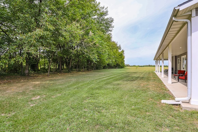 view of yard featuring a patio